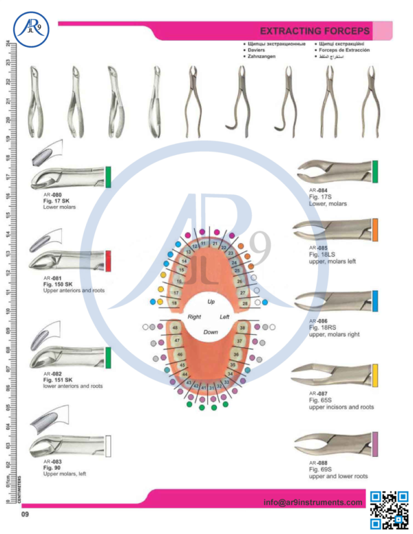 Extracting Forceps