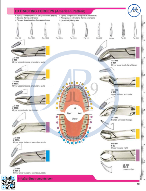Extracting Forceps