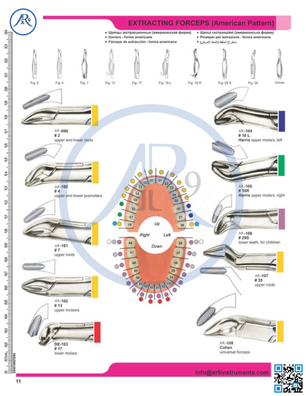 Extracting Forceps