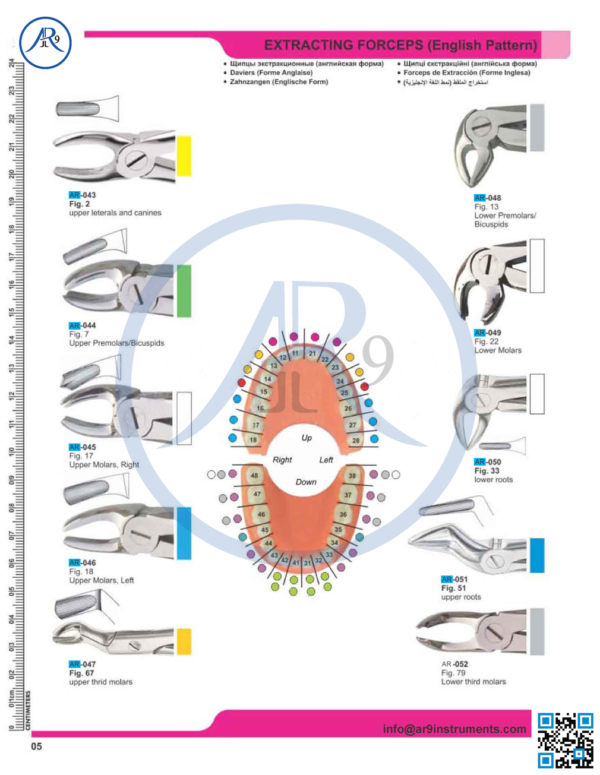 Extracting Forceps