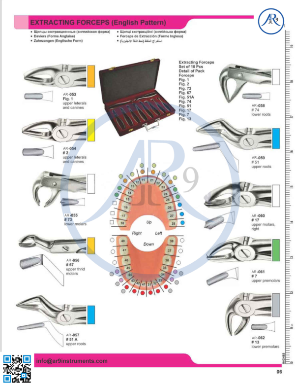 Extracting Forceps