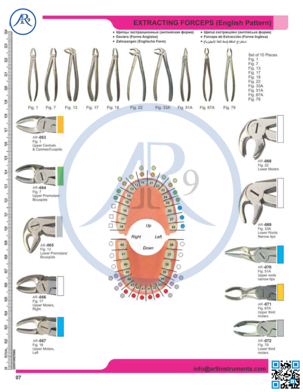 Extracting Forceps