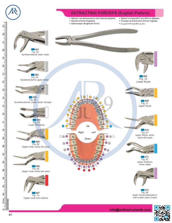 Extracting Forceps