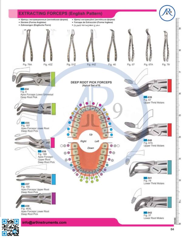 Extracting Forceps